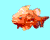 03 ปลา