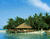 ภาพจากเกาะ