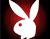 Playboy Bunny erotik